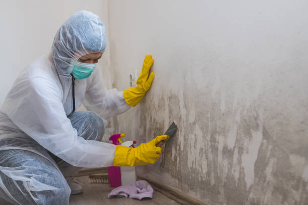 Lyman, MS Mold Removal Company